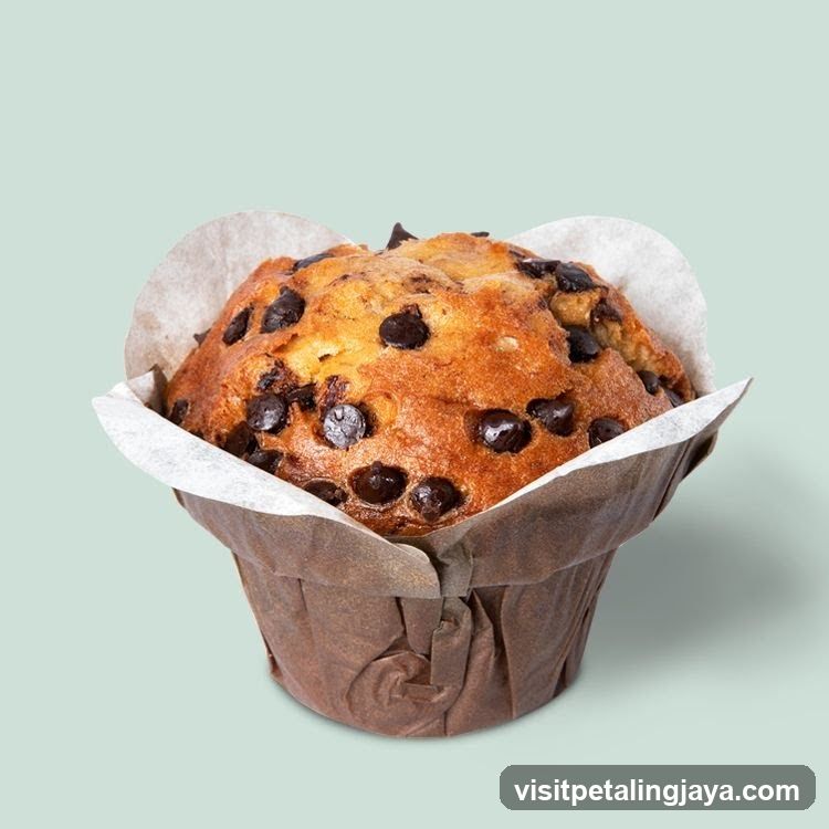 Chocolate Chip Muffin