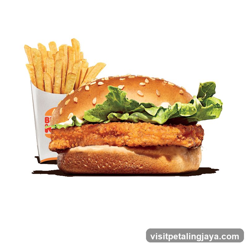 Chicken burger and fries