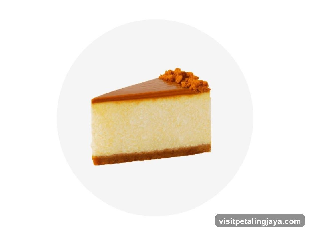 Cheesecake Slice