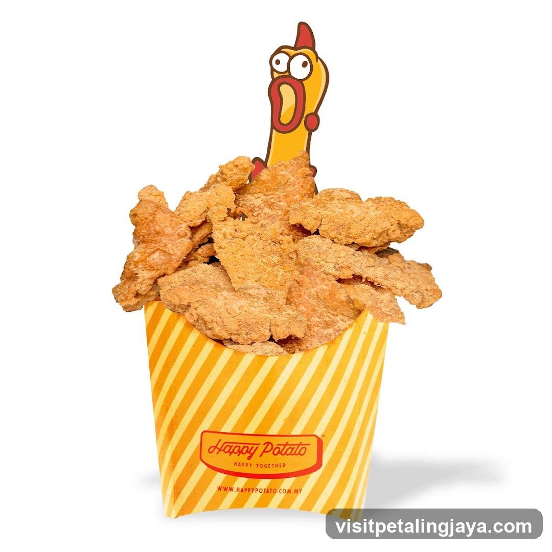 Fried Chicken Bucket