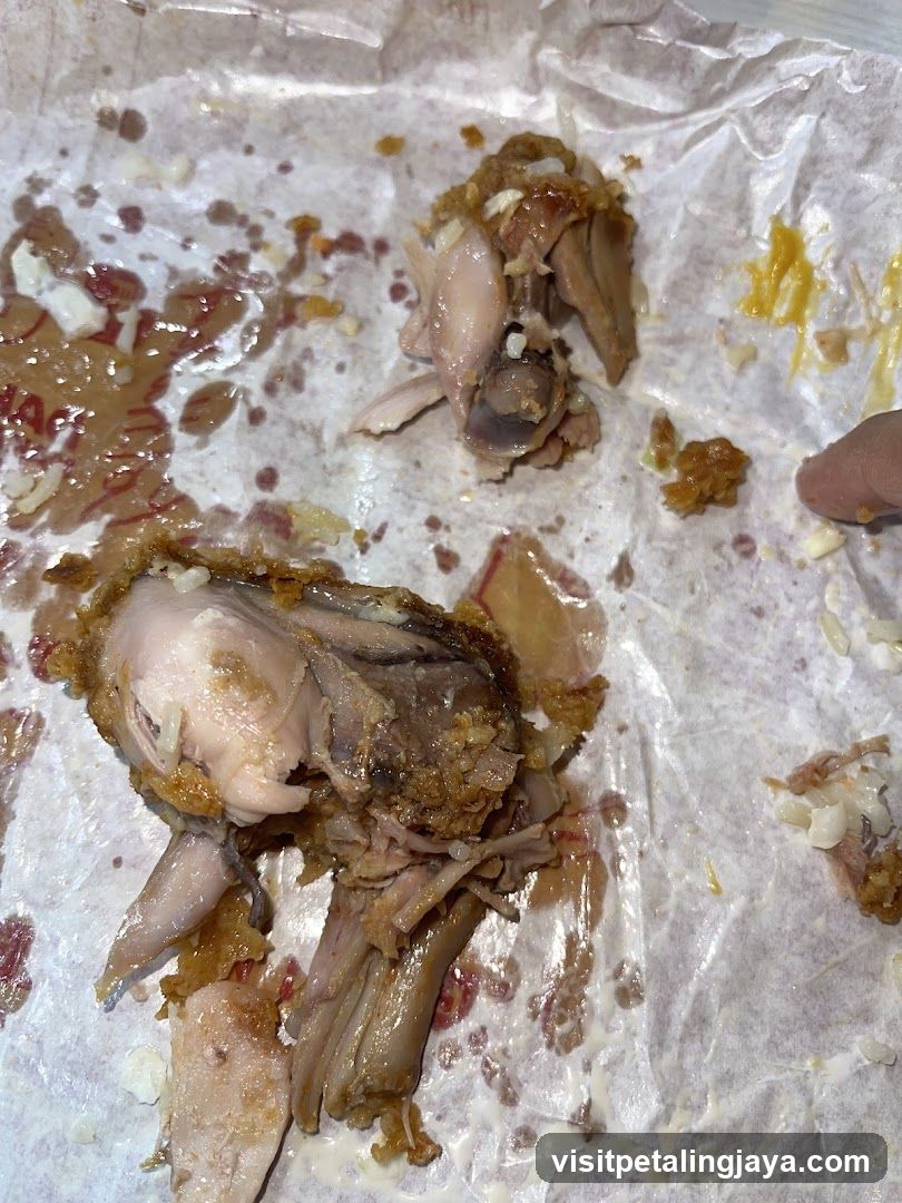 Food Remains on Paper