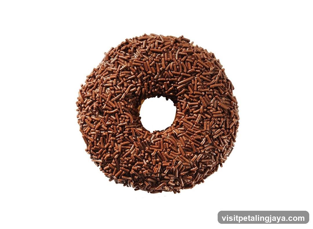 Chocolate Sprinkled Donut