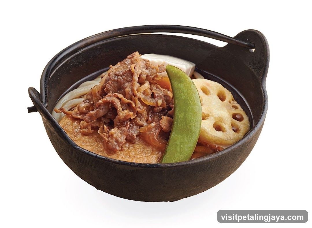 Beef and Udon Noodle Bowl