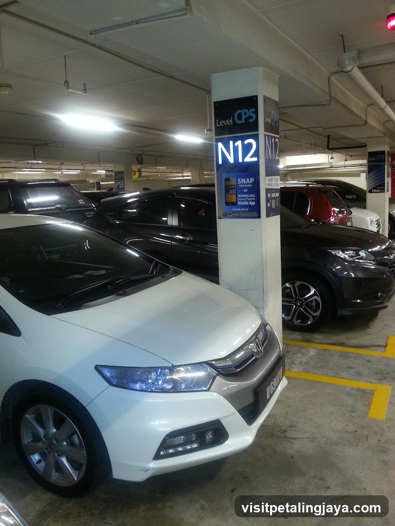 Parking Lot Signage