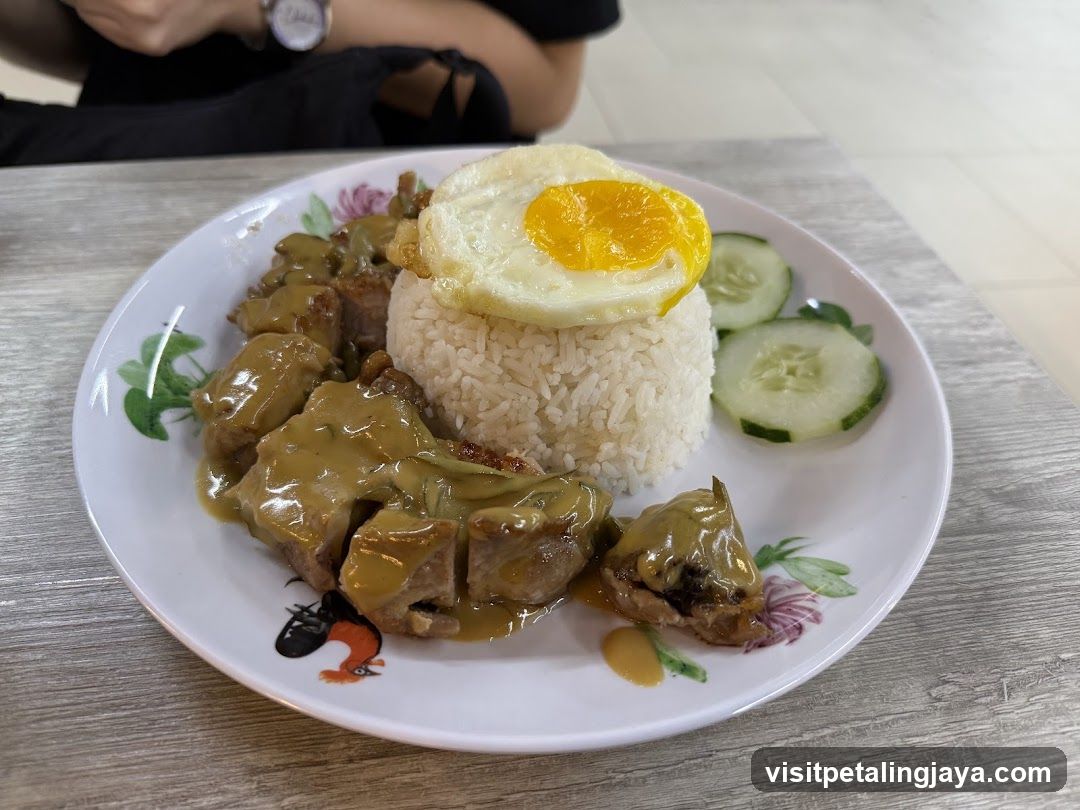Pork Rice with Fried Egg