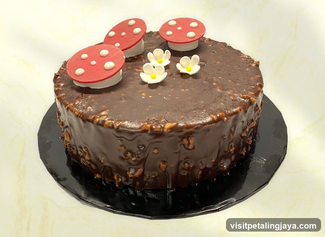 Chocolate Cake with Mushroom Decorations
