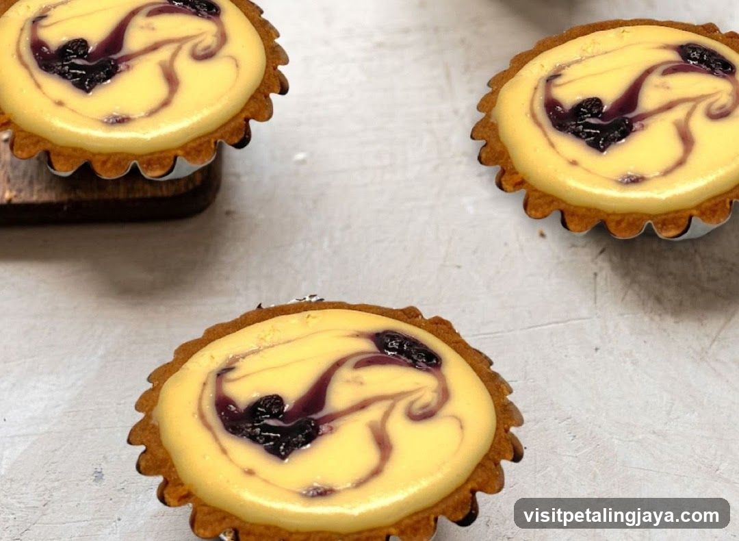 Blueberry Swirl Tarts