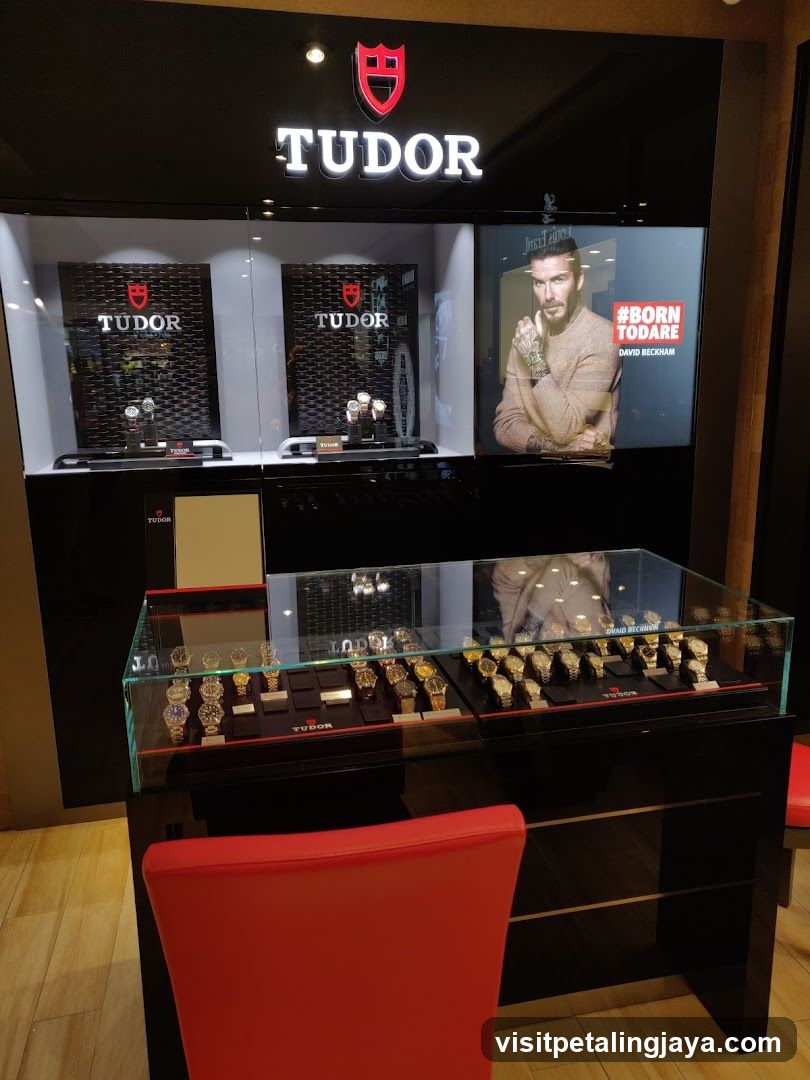 Tudor Watch Display