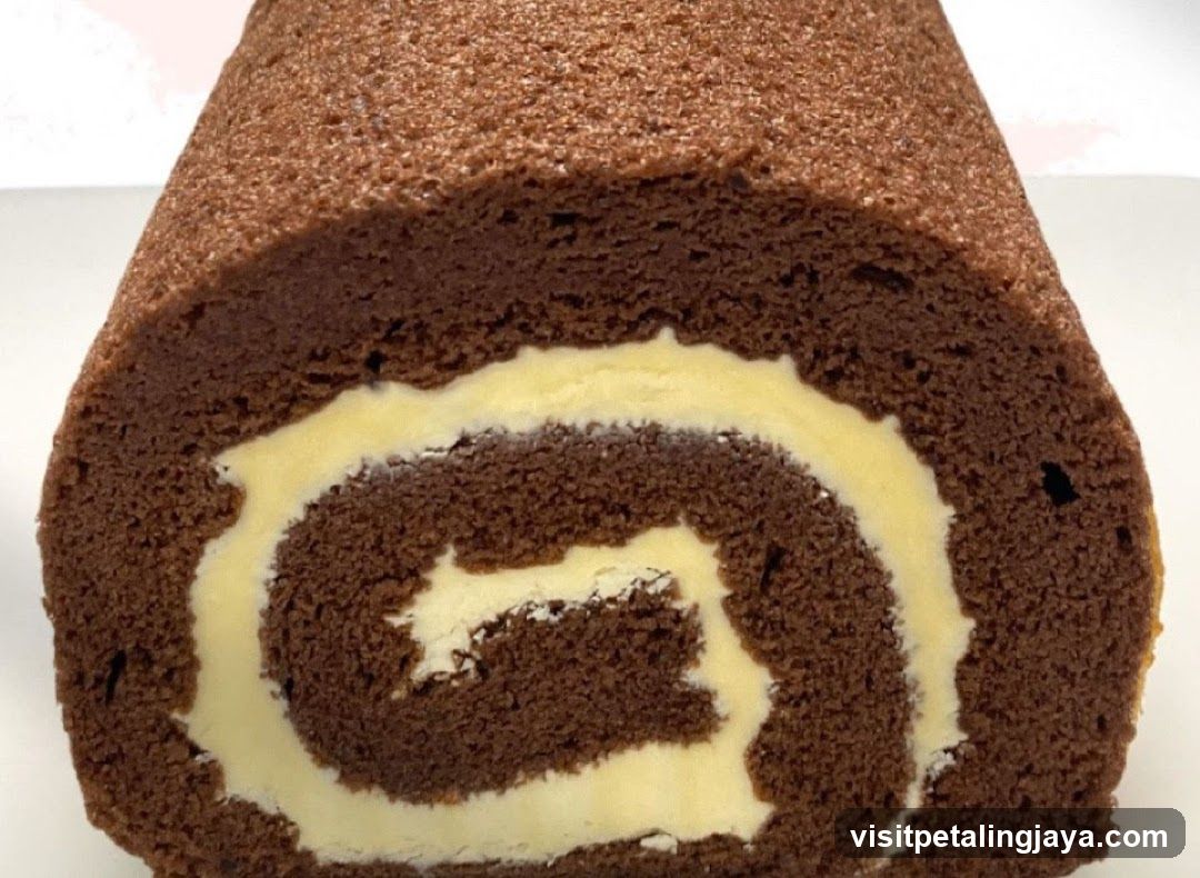 Chocolate Swiss Roll