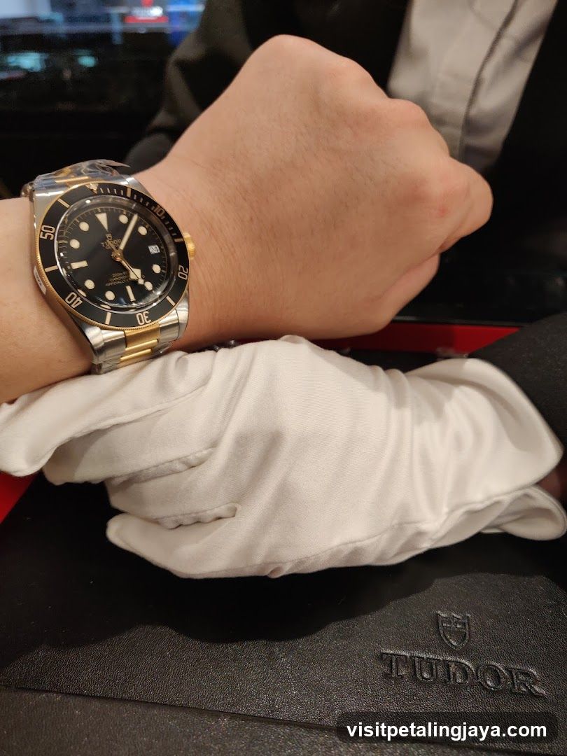 Tudor Watch on Wrist
