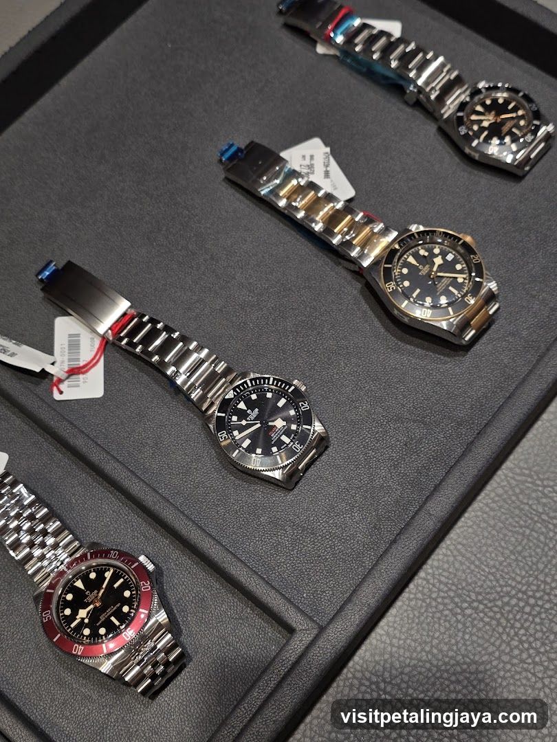 Luxury Watches Display