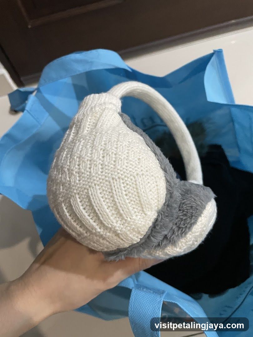 Earmuffs in a bag