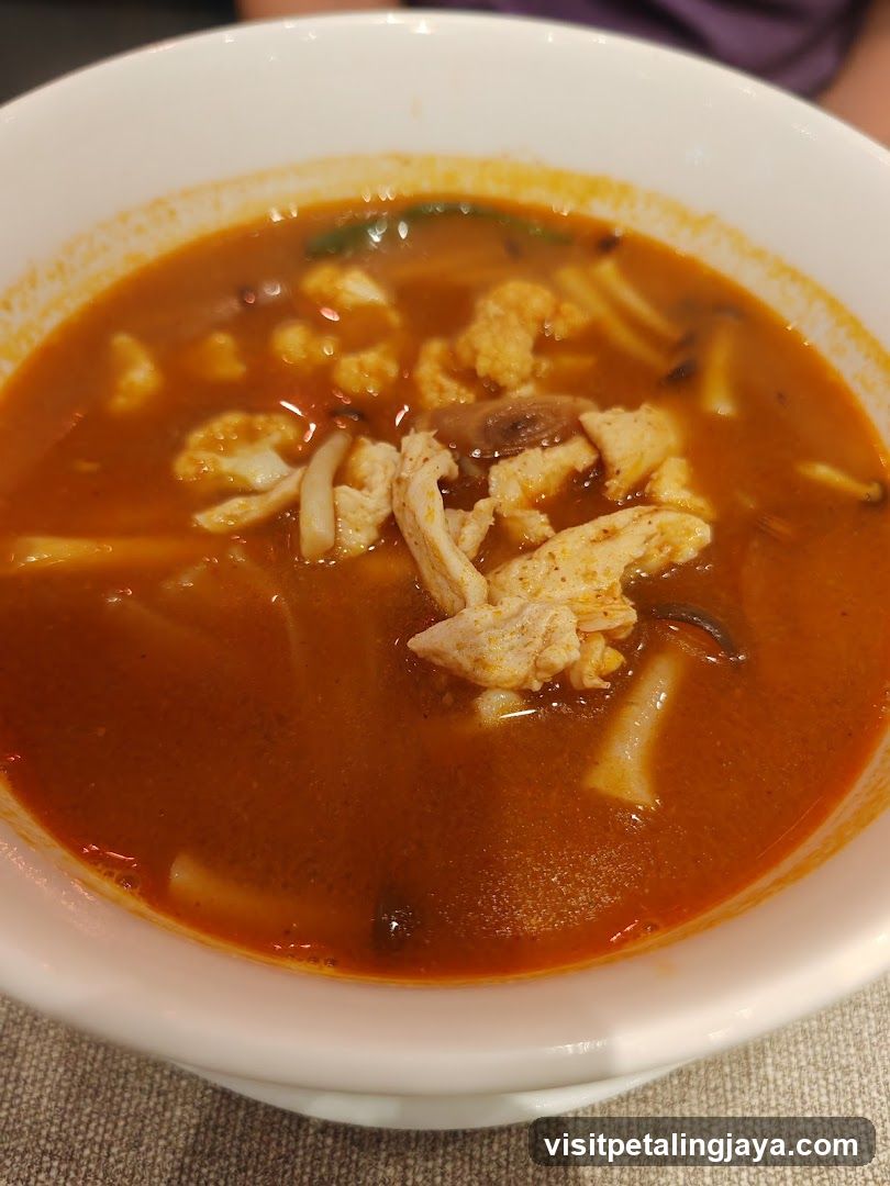 Spicy Soup with Chicken and Vegetables