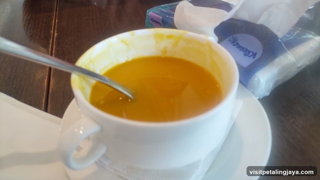 Soup and Tissues