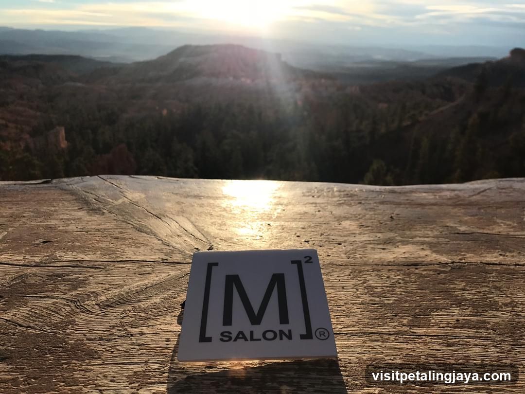 [M] SALON logo on wooden surface with scenic background