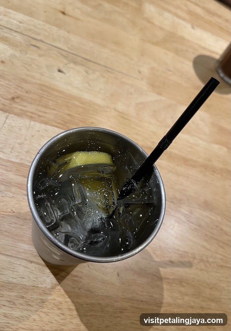 Drink with Lemon and Ice