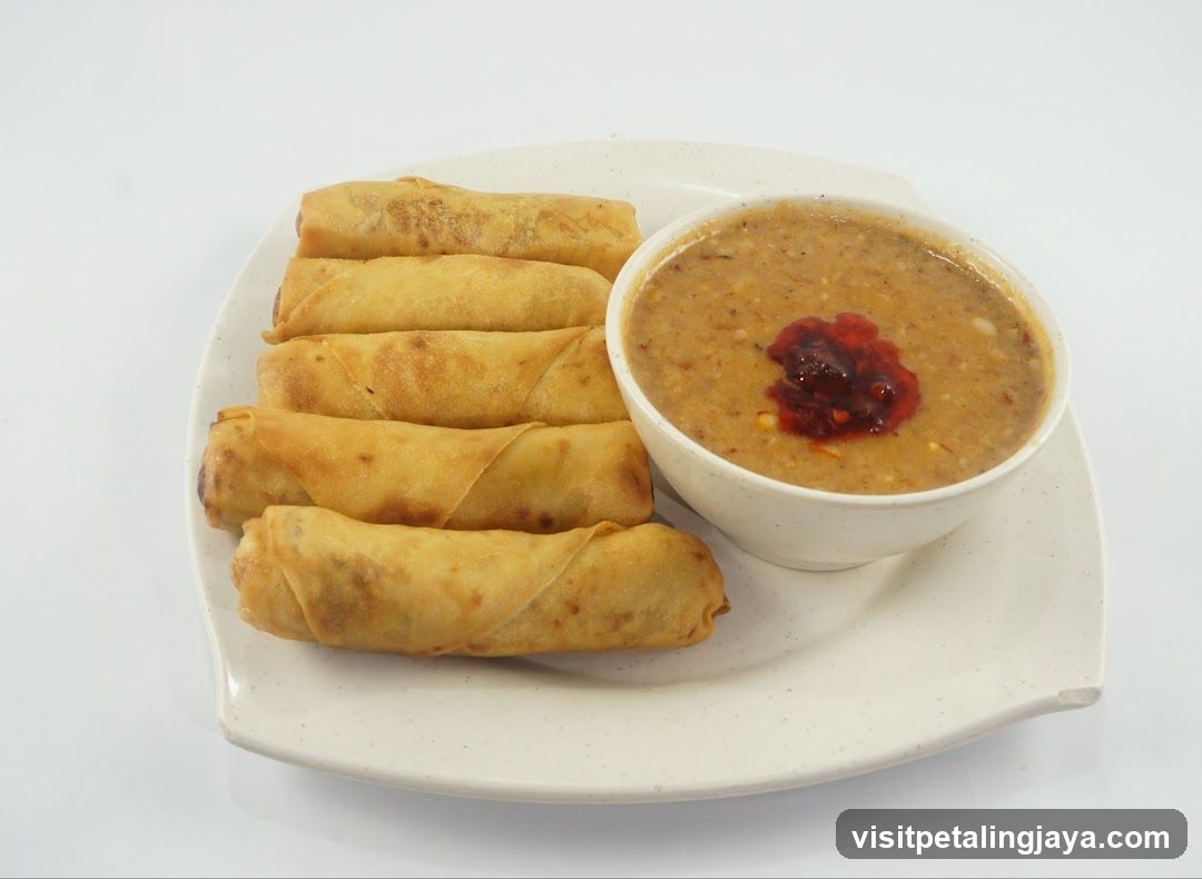 Spring Rolls with Dip