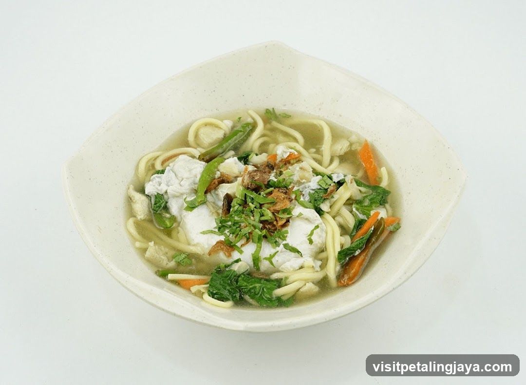 Noodle Soup
