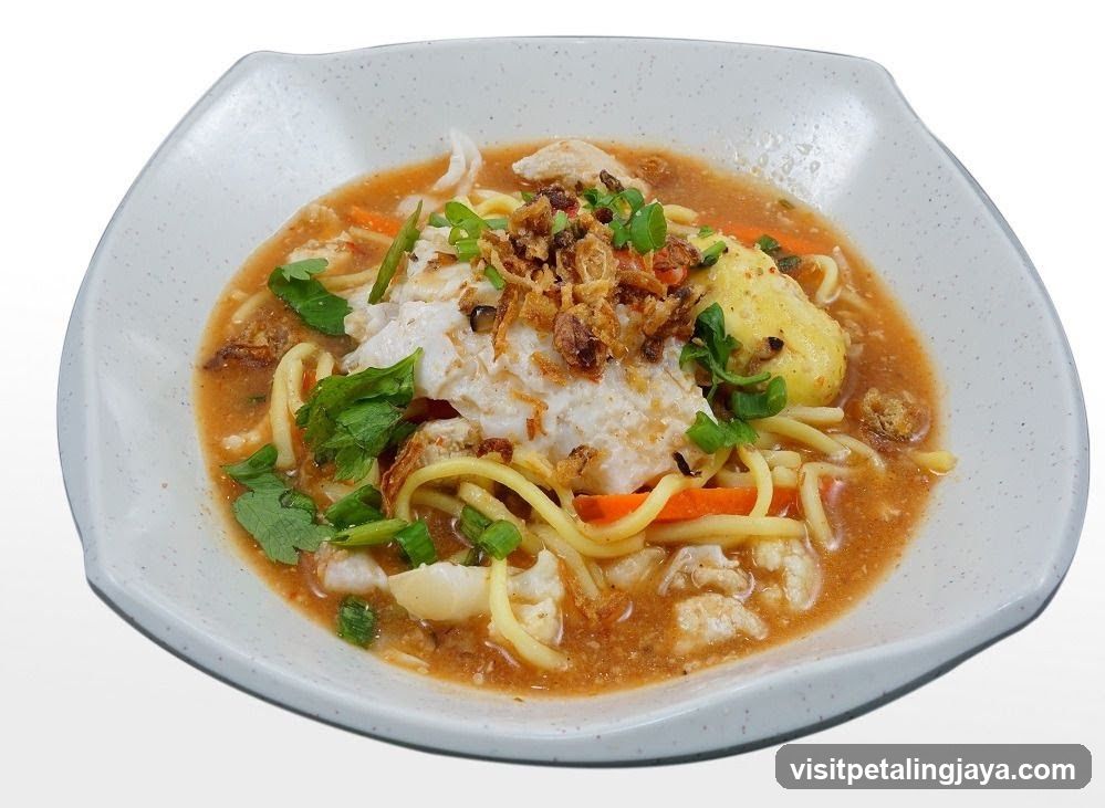 Noodle Soup Dish