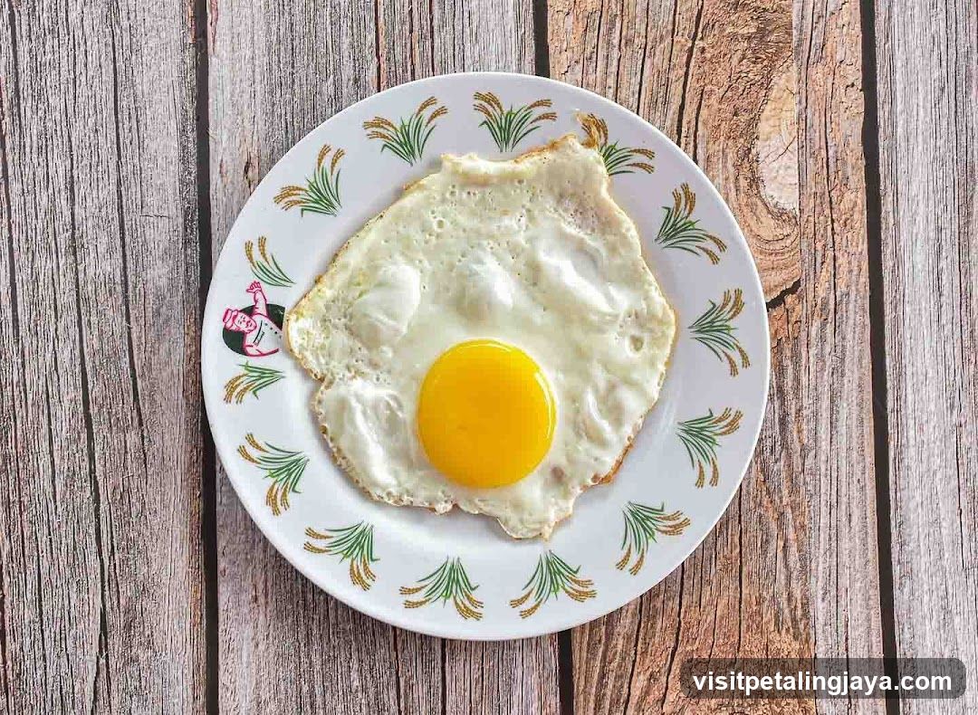 Fried Egg on a Plate