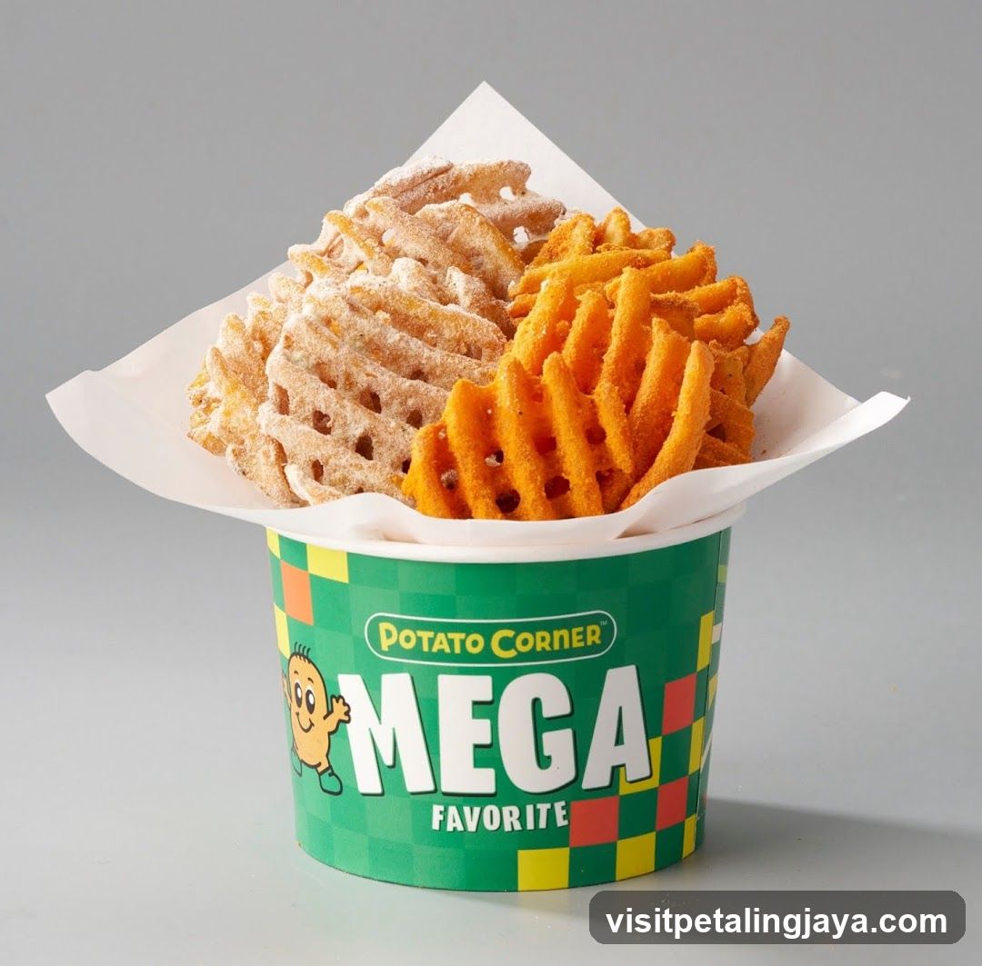 Potato Corner Mega Favorite Fries