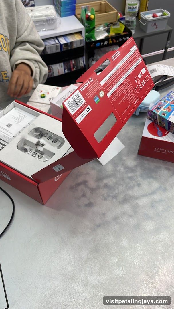 Nintendo Switch Controllers