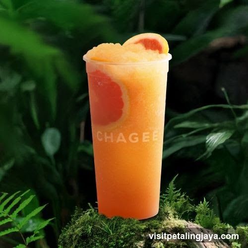 Grapefruit Slushy