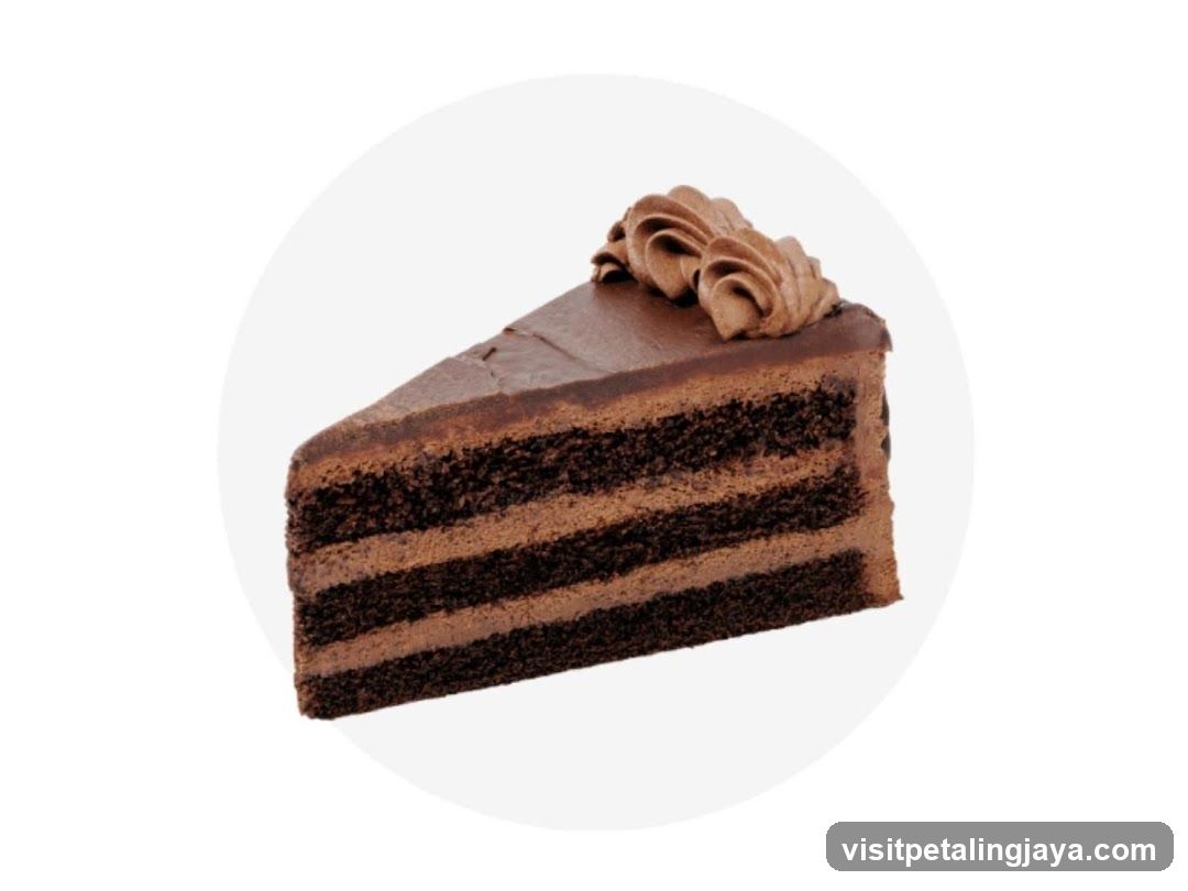 Chocolate Cake Slice