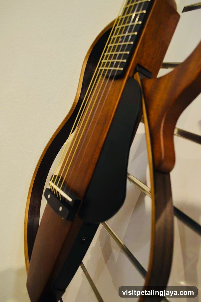 Acoustic Guitar Detail