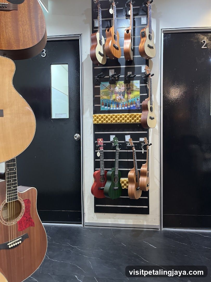 Musical Instruments Display