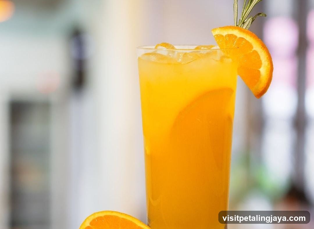 Orange Juice Cocktail