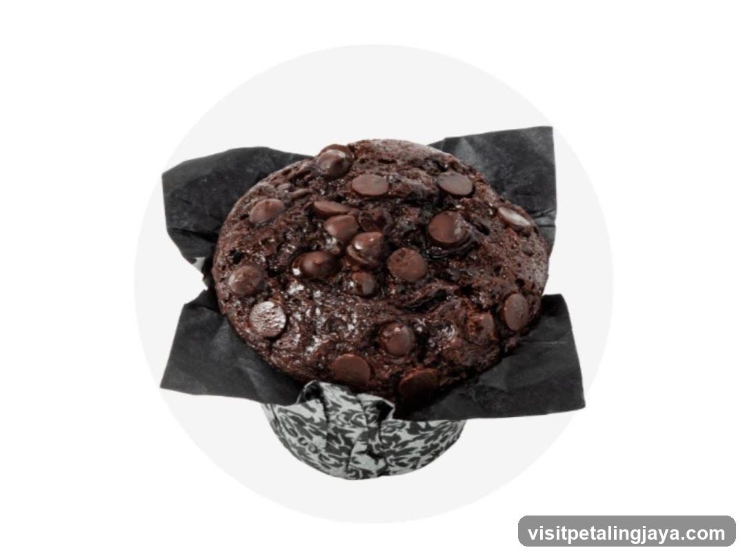 Chocolate Chip Muffin