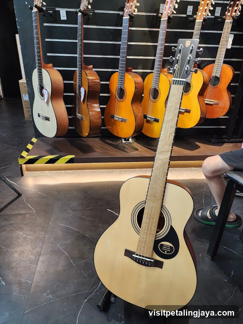 Guitars on Display