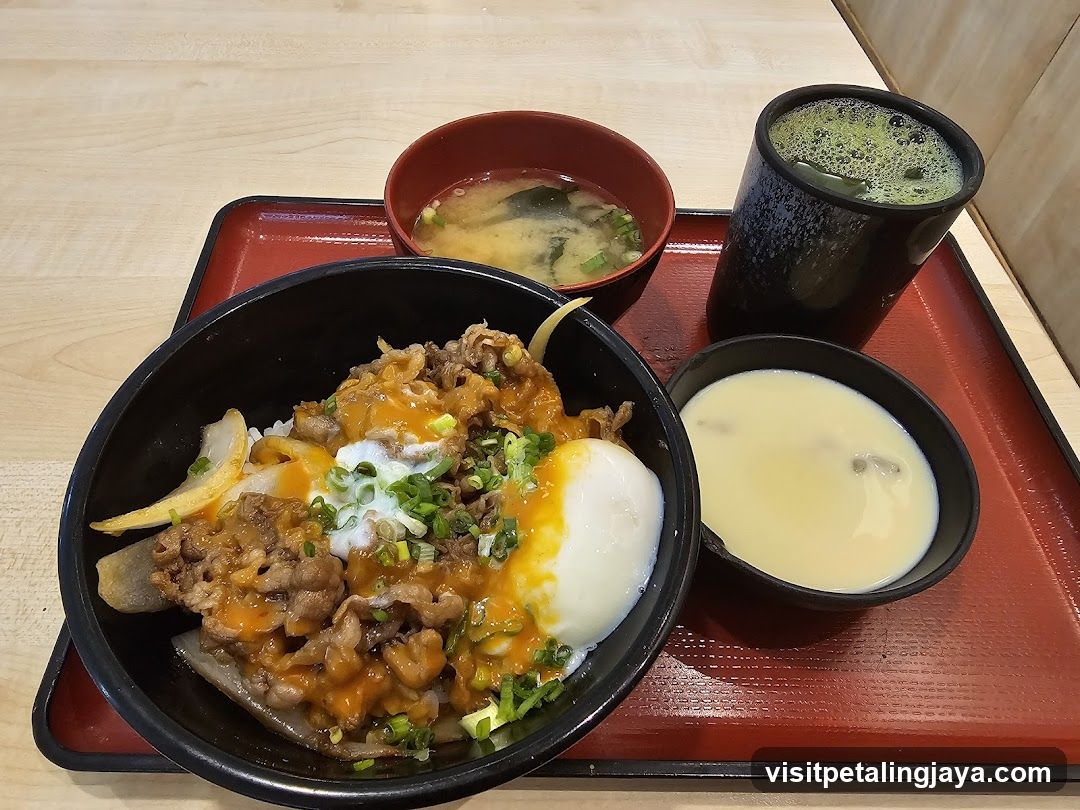 Beef Bowl Meal