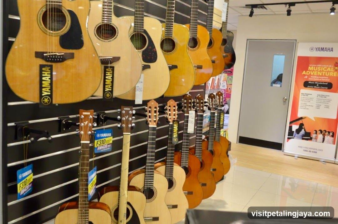 Guitars on Display