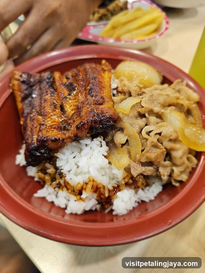 Unagi and Beef Rice Bowl