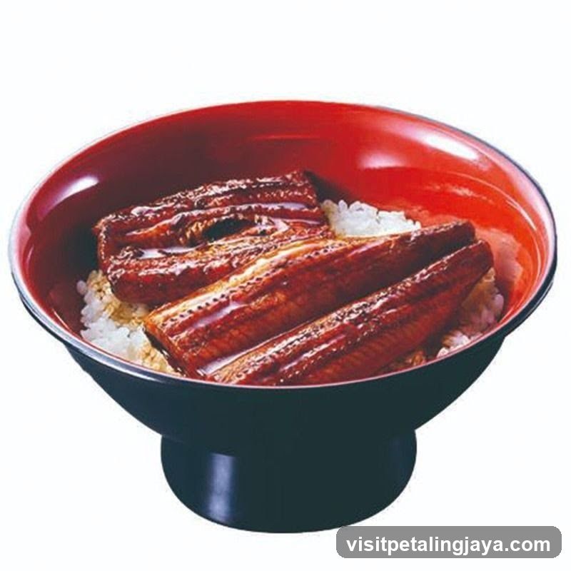 Unagi Donburi