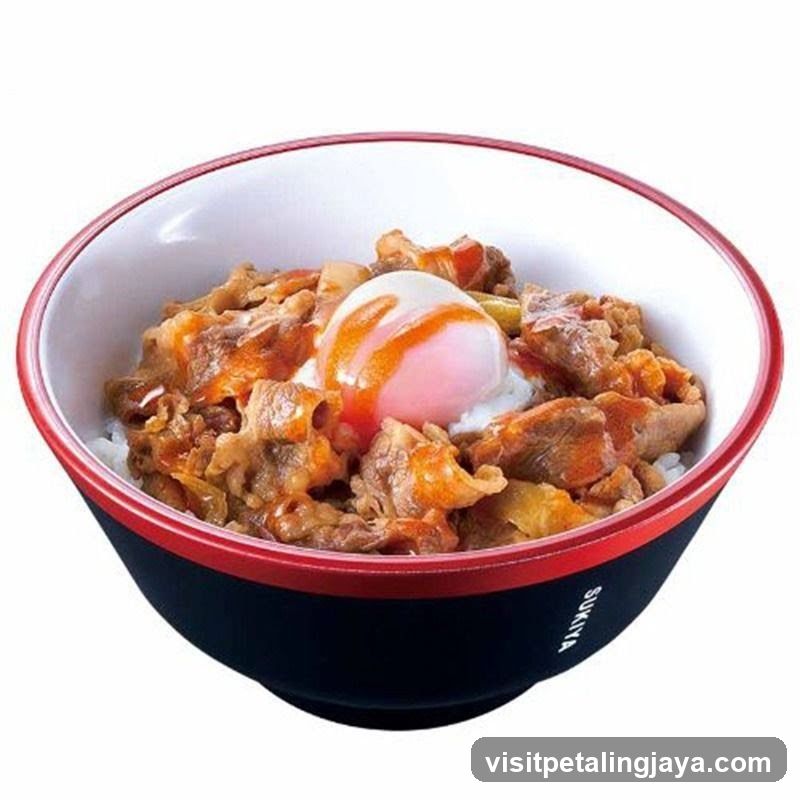 Beef Bowl with Egg