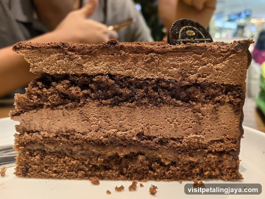 Chocolate Cake Slice