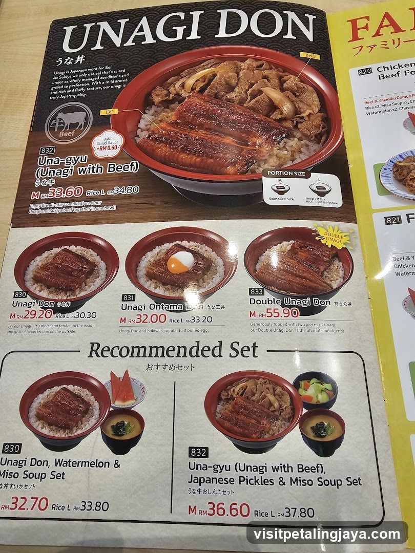 UNAGI DON