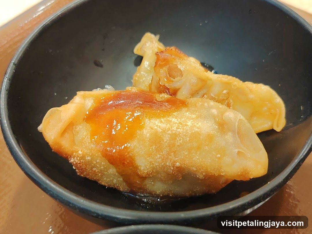 Fried Dumplings with Sauce