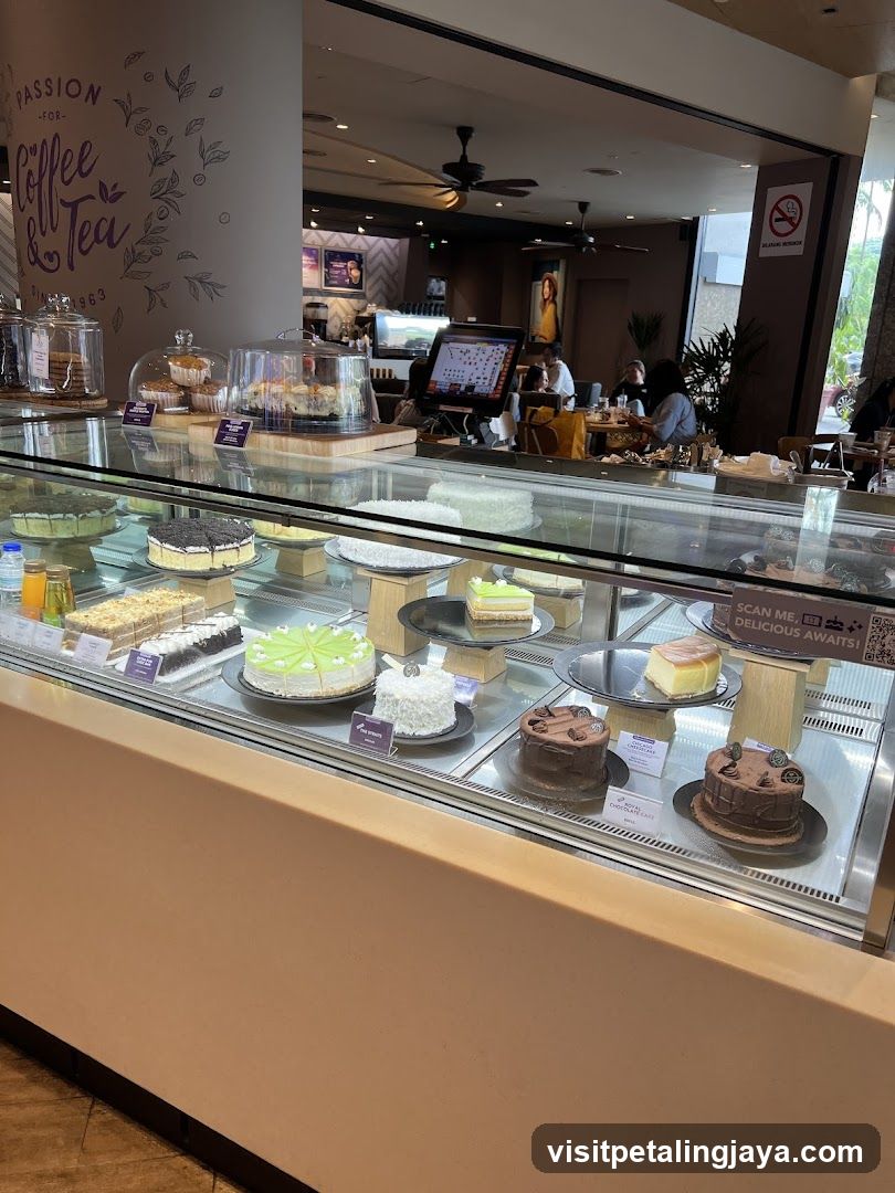 Dessert Display Case