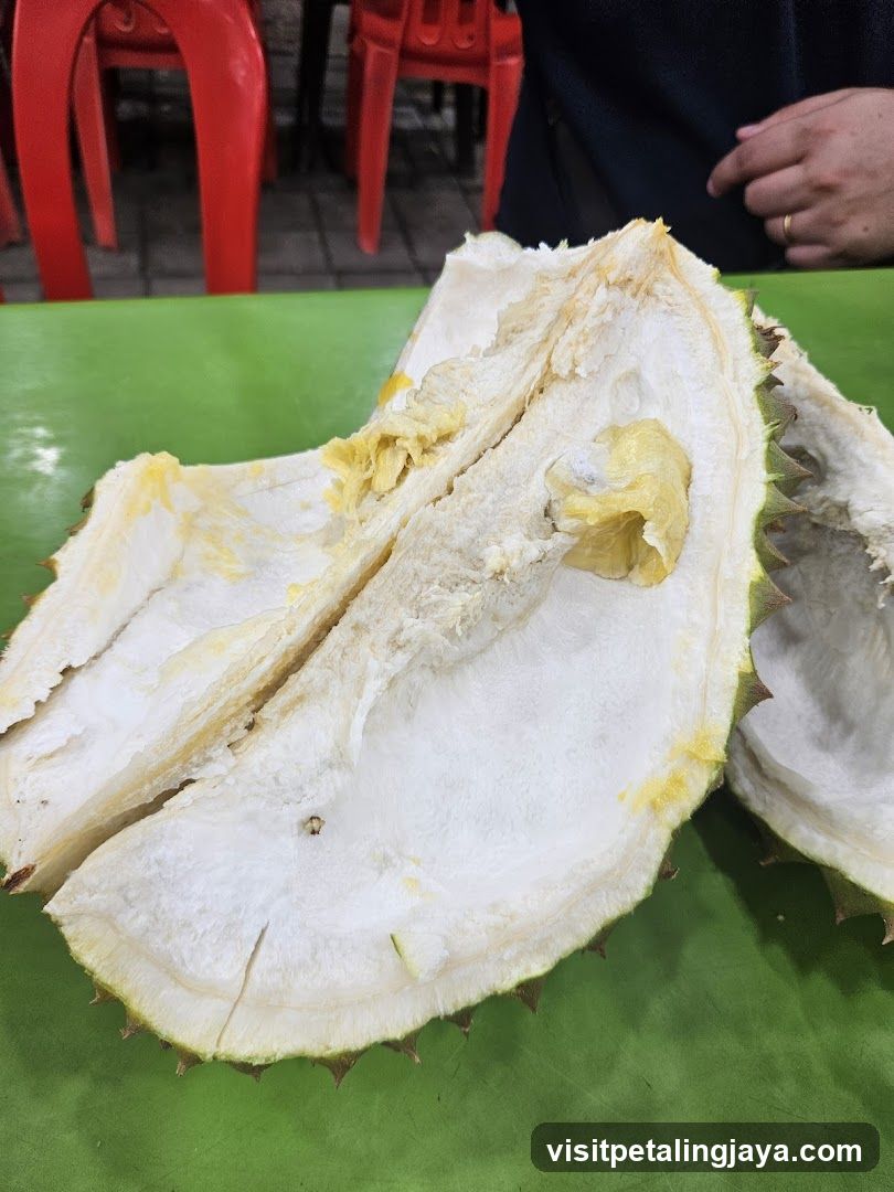 Mari-Mari Durian Paradigm