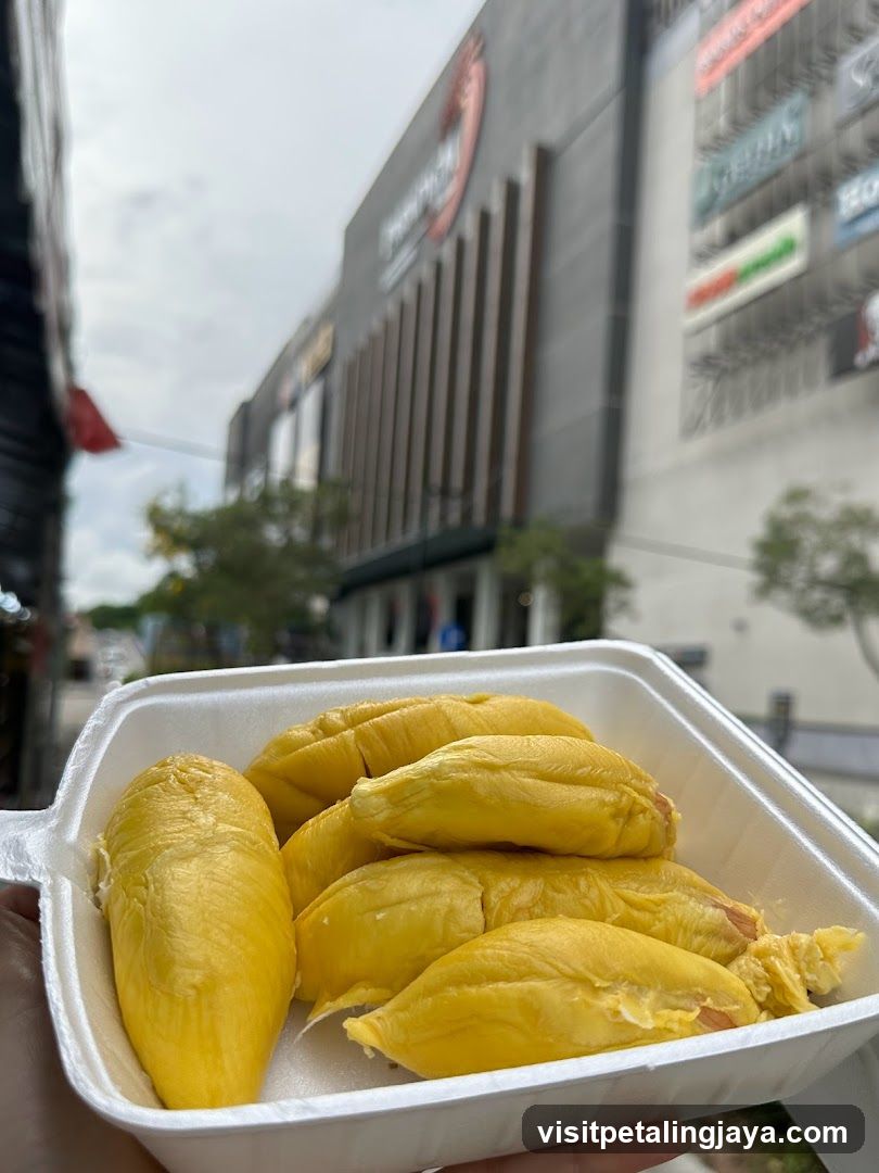 Mari-Mari Durian Paradigm
