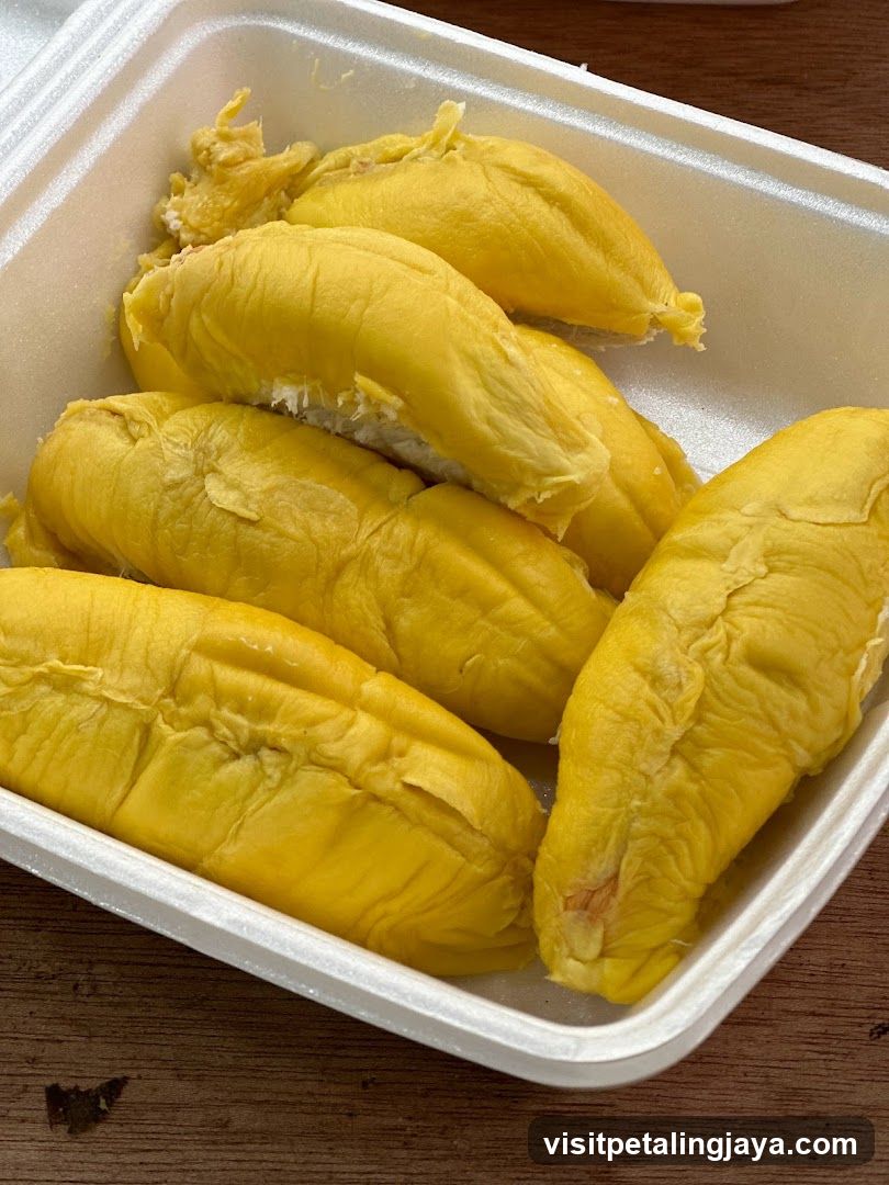 Mari-Mari Durian Paradigm
