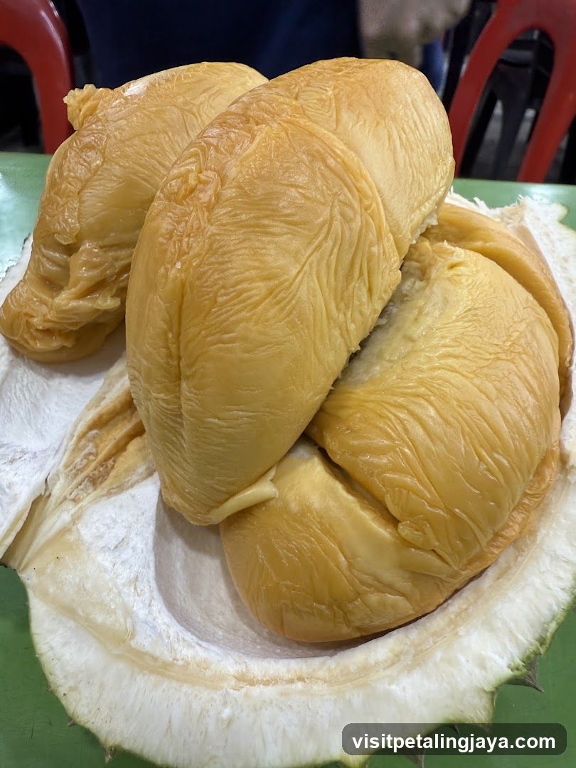 Durian Fruit