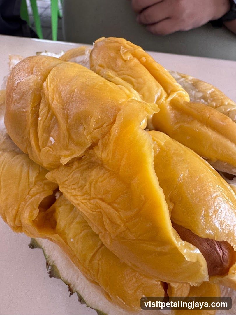 Durian Fruit