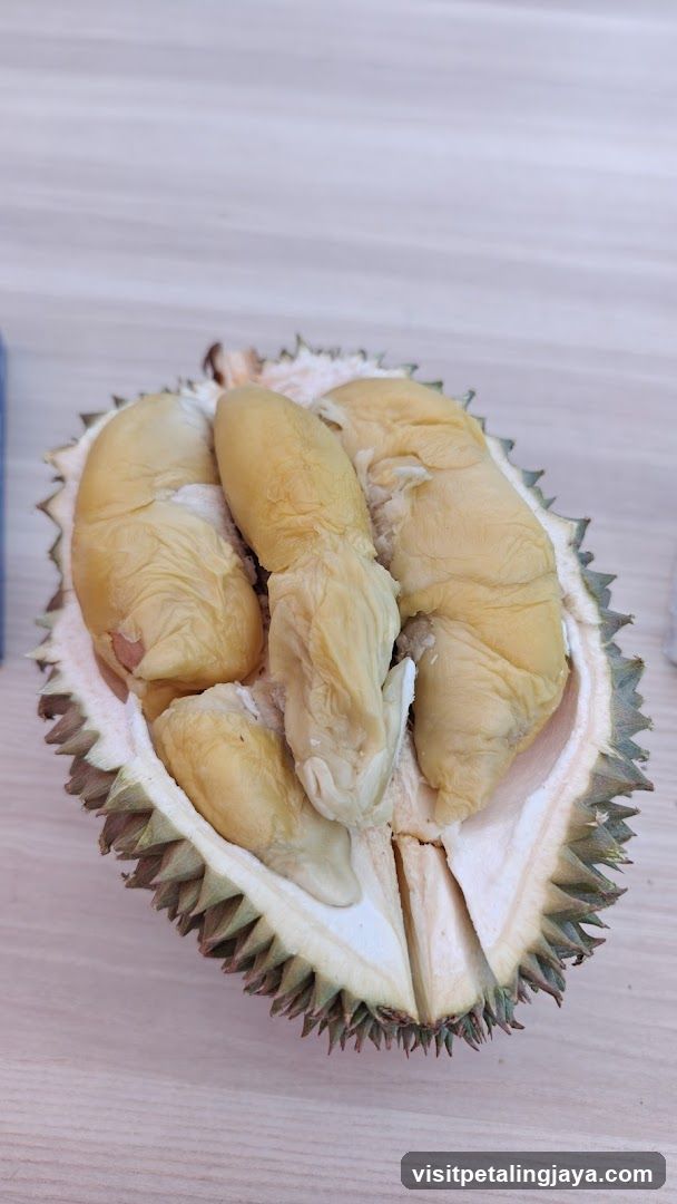 Durian Fruit