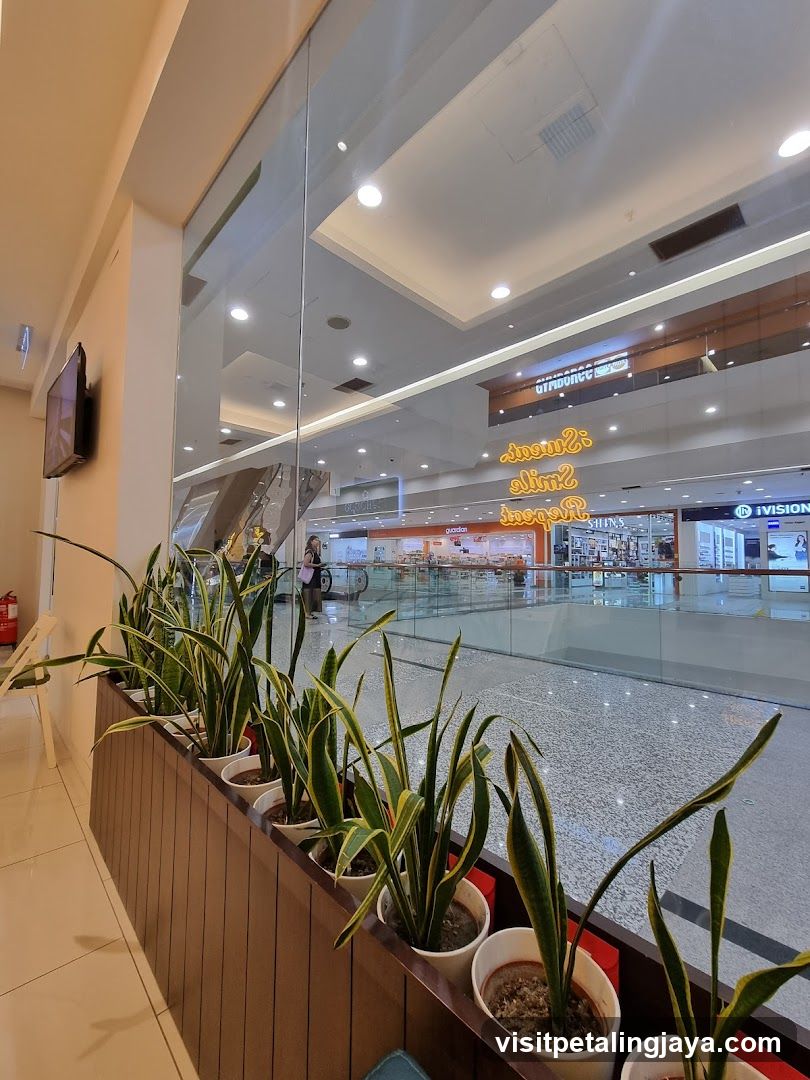 Indoor mall view with plants