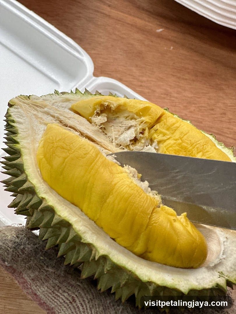 Durian Fruit Being Cut